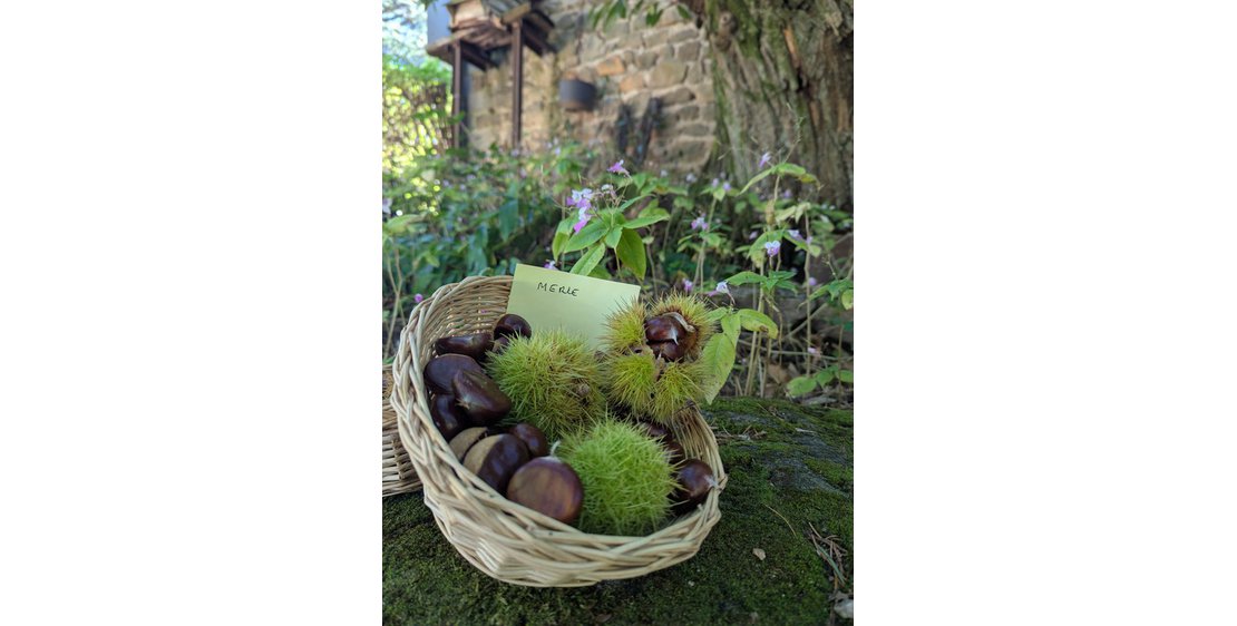 Photo La ferme du châtaignier