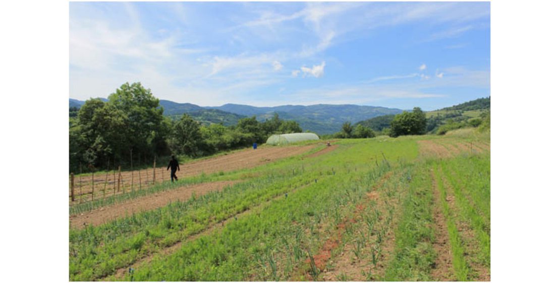 Photo La ferme des Auches