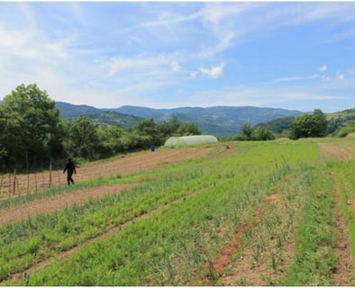 La ferme des Auches