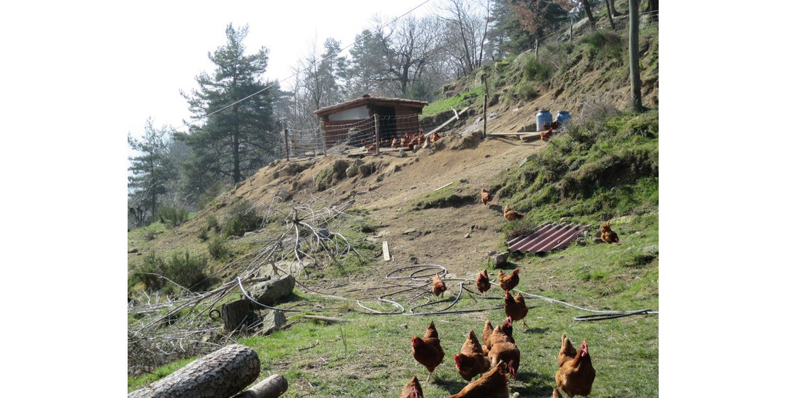 Photo La Ferme du Mont