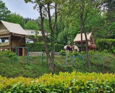 Camping La Douce Ardèche