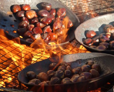 Automnal Gourmand -"Visite d'une châtaigneraie traditionnelle  et dégustation"