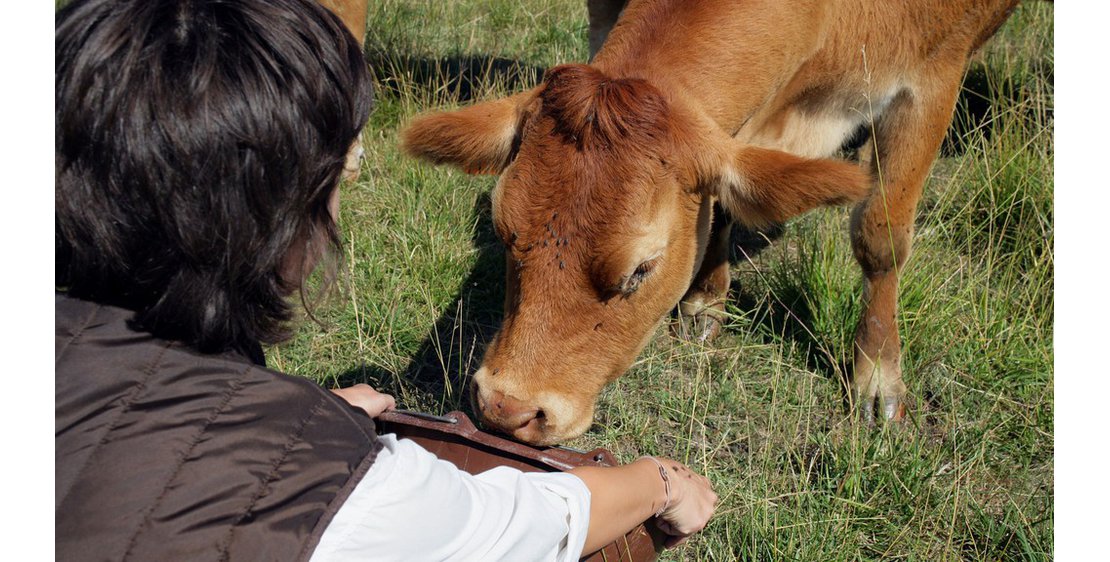 Foto Salon de l'agriculture ardéchoise