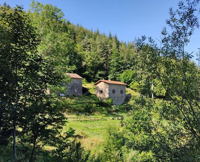 Le jardin des Sautons