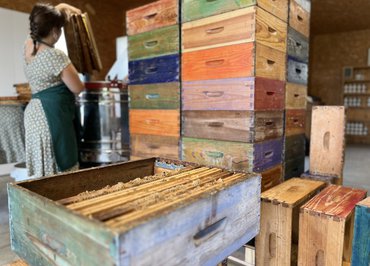 Visite de la Miellerie à tire d'aile