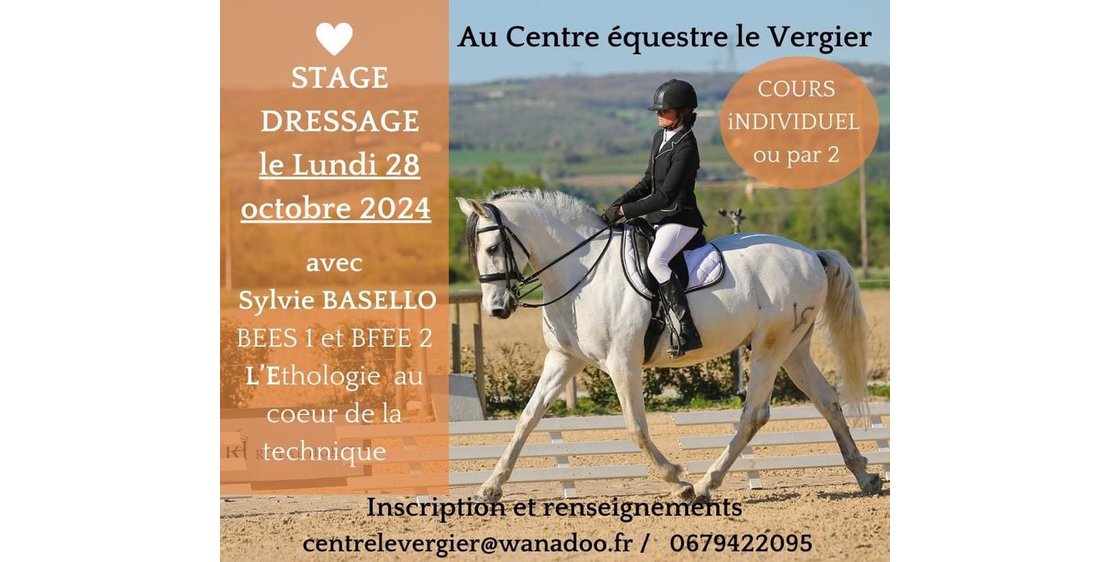 Photo Stage équitation