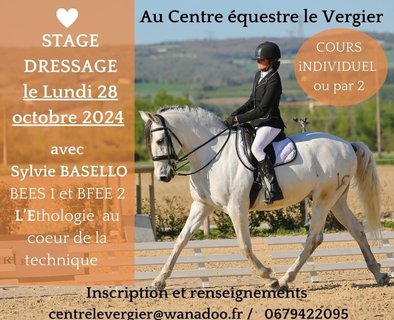 Stage équitation