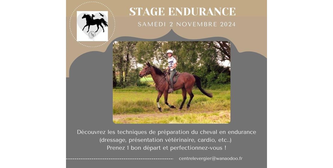 Photo Stage équitation