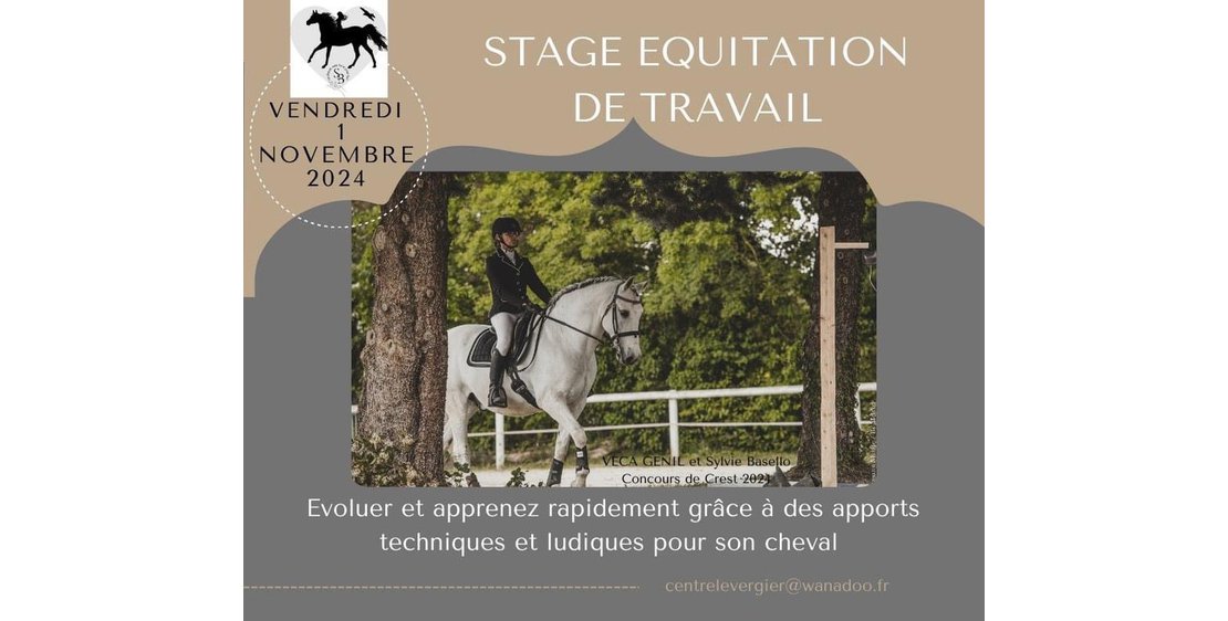 Photo Stage équitation