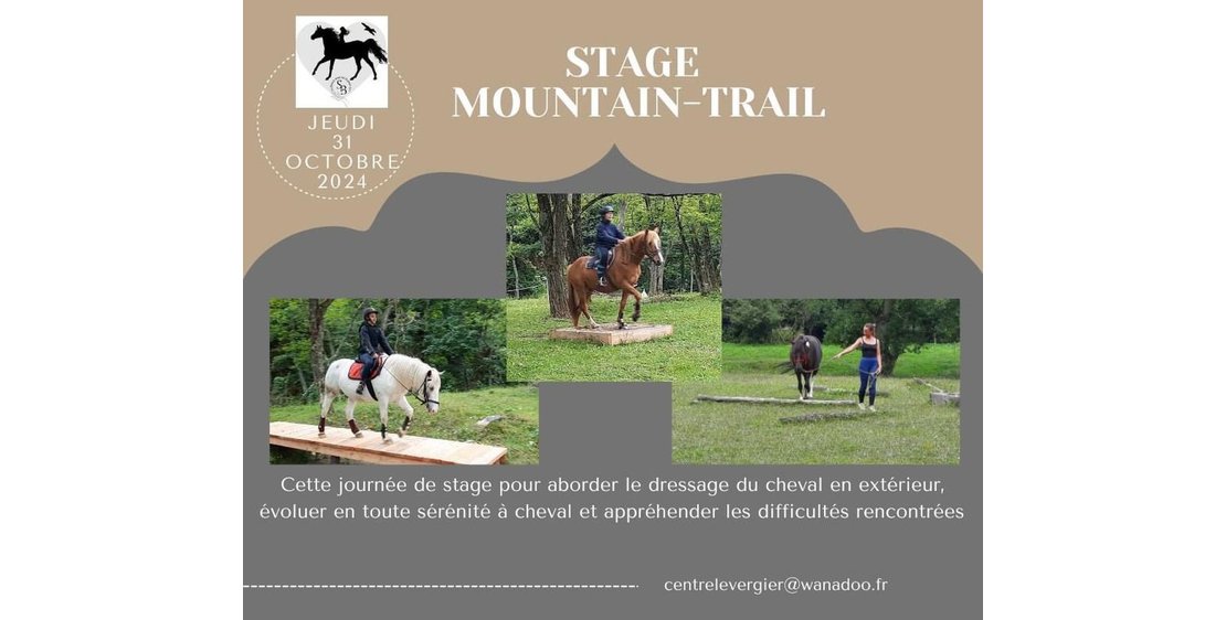 Foto Stage équitation