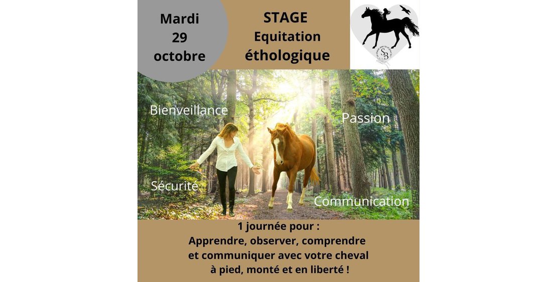 Foto Stage équitation