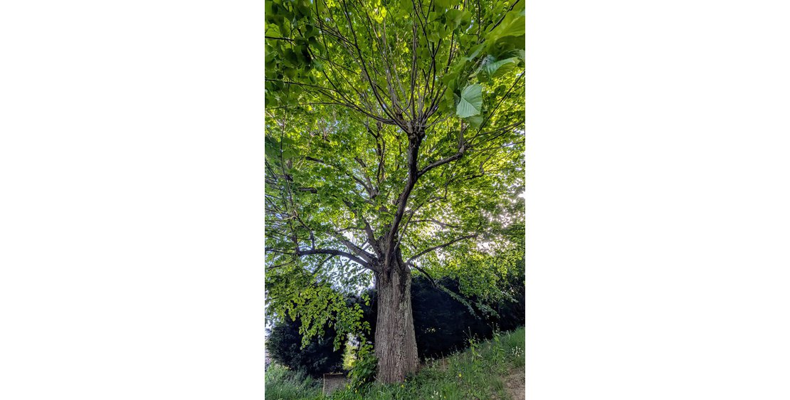 Photo La Vie est Belle