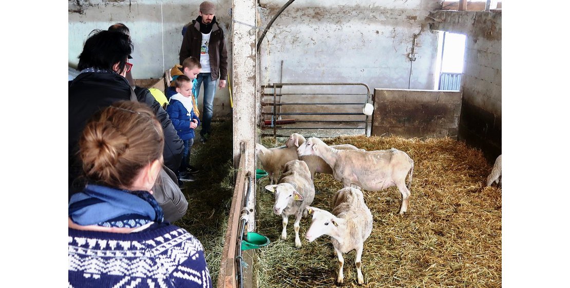 Foto De Ferme en Ferme ® : visite du GAEC de Samarie (Mademoiselle Châtaigne)