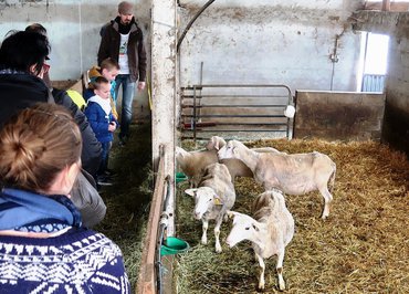 De Ferme en Ferme ® : visite du GAEC de Samarie (Mademoiselle Châtaigne)