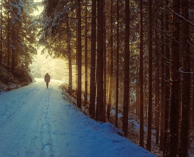 Winterwandeling