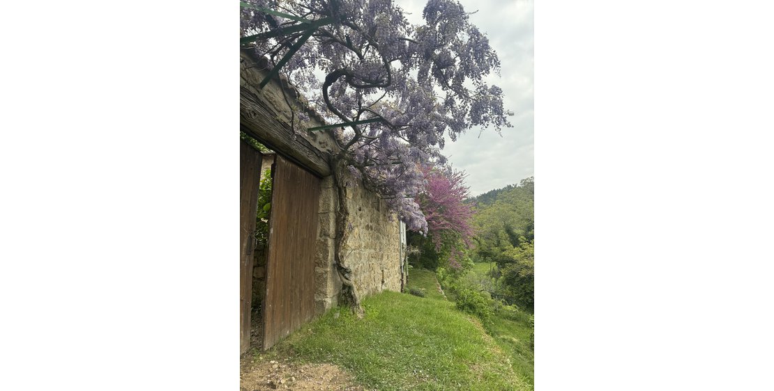 Photo Les Gites de Costerousse - Comballe