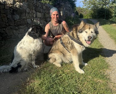 Les amis d'Anais Petsitter