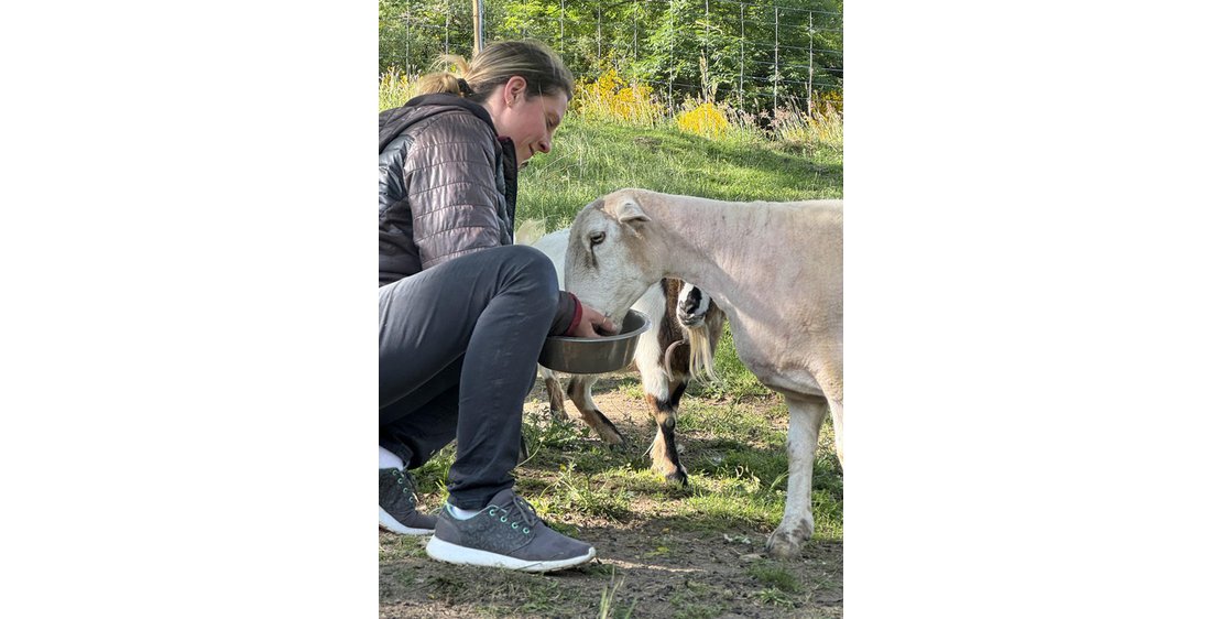 Photo Les amis d'Anais Petsitter