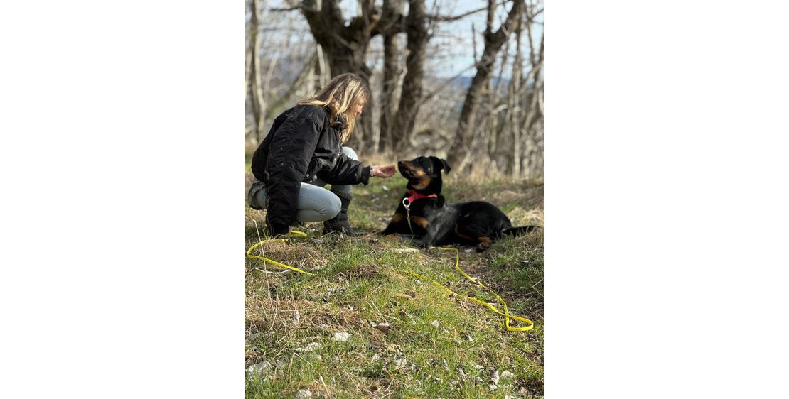 Photo Les amis d'Anais Petsitter