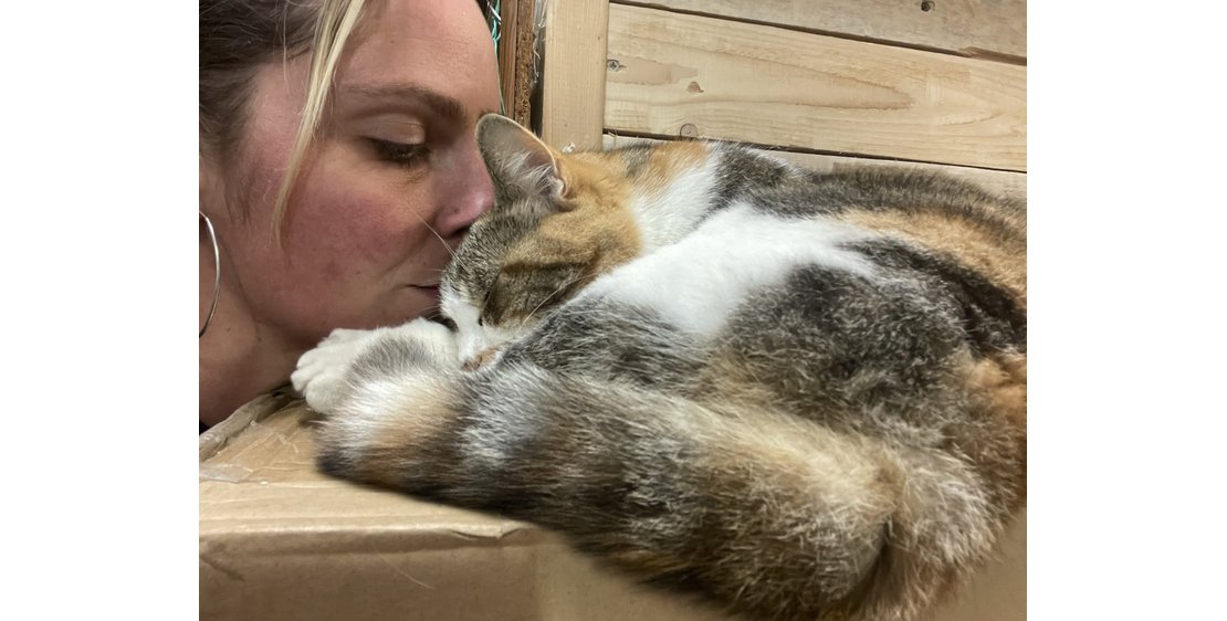 Photo Les amis d'Anais Petsitter