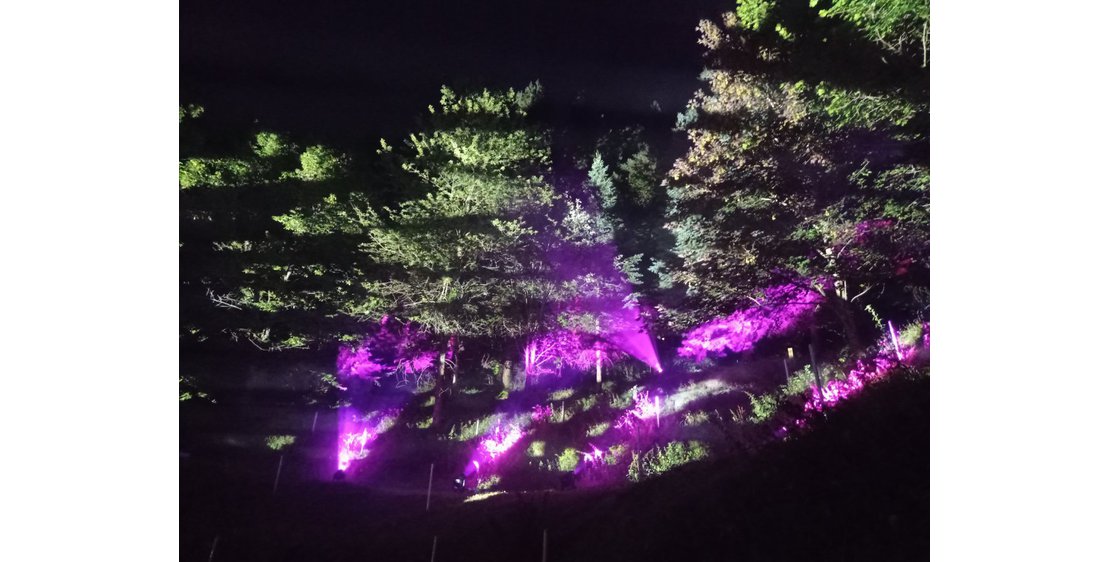 Photo Sound and light show at the Arboretum