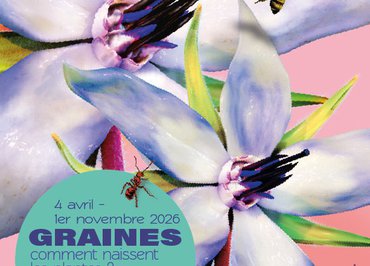 Exposition temporaire : Graines, comment naissent les plantes ?