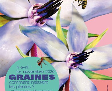 Exposition temporaire : Graines, comment naissent les plantes ?