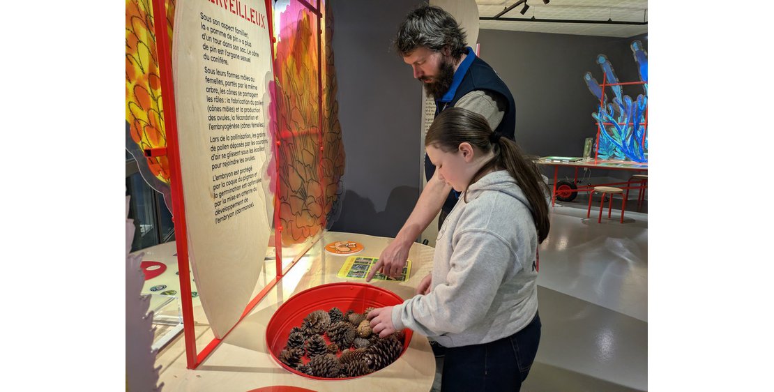Photo Exposition temporaire : Graines, comment naissent les plantes ?