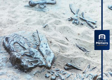 L'Arche des métiers: Sur les traces de Dino