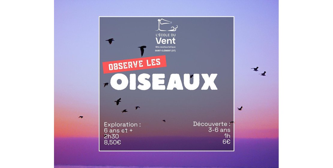 Photo Observe les oiseaux - Découverte