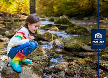 Biodiversité de la ripisylve