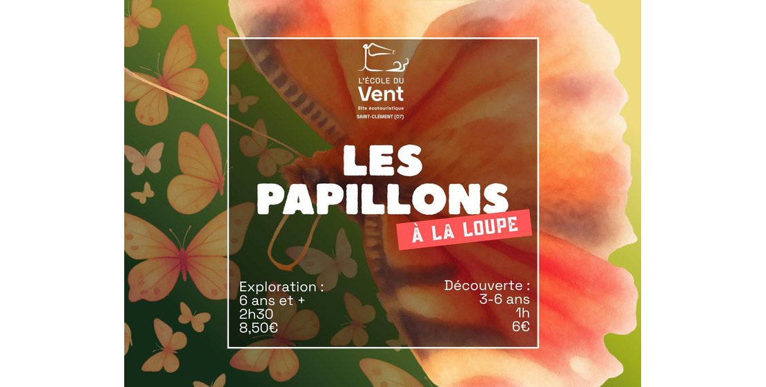 Photo Les papillons à la loupe - Découverte