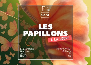 Les papillons à la loupe - Découverte