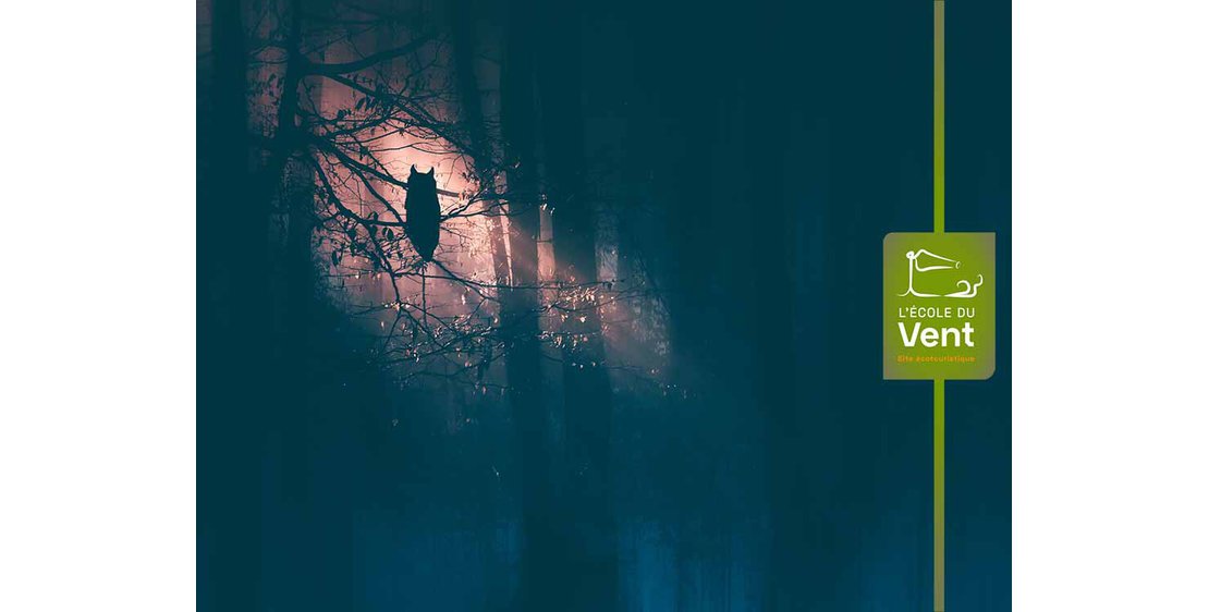 Photo Balade nocturne : animaux maléfiques ou légendes à la peau dure ?