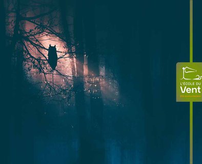 Balade nocturne : animaux maléfiques ou légendes à la peau dure ?