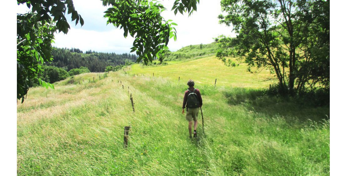 Foto Un Pays et ses Arbres - N°9