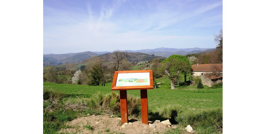 Photo Un Pays et ses Arbres - N°9