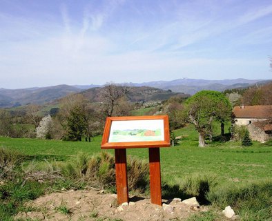 Un Pays et ses Arbres - N°9