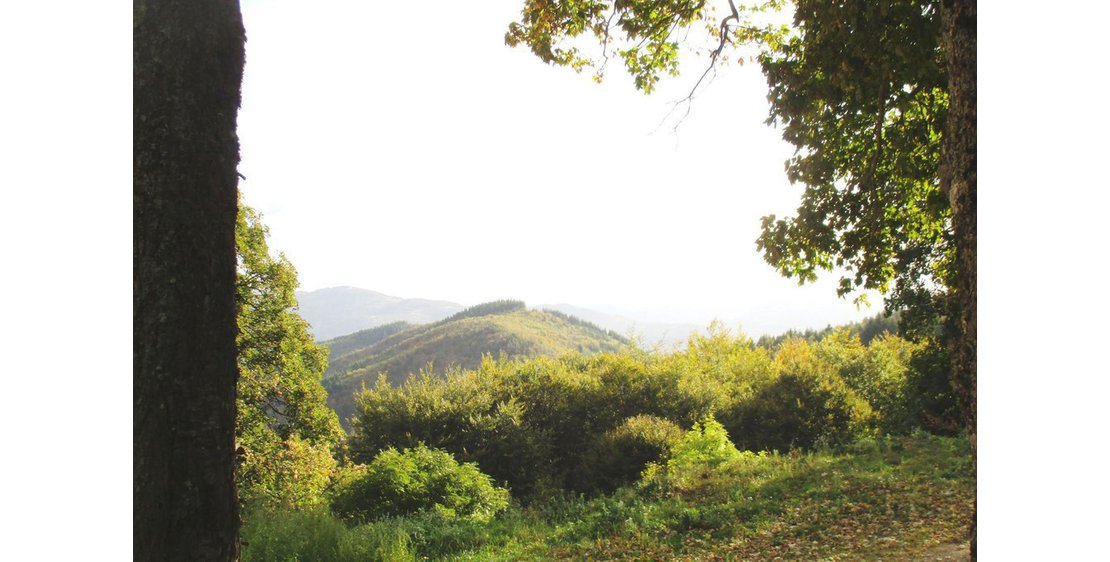 Foto Circuit des Eoliennes - VTT FFC N°29 ROUGE