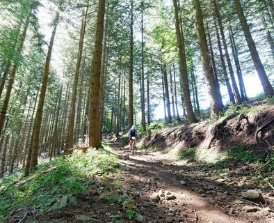 Circuit des Eoliennes - VTT FFC N°29 ROUGE