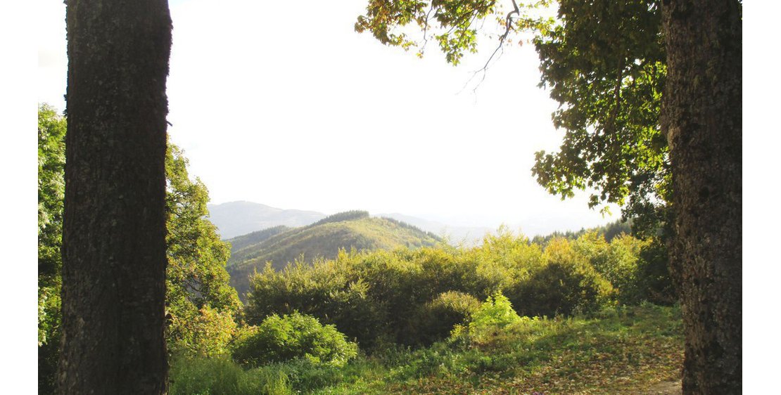 Foto Boucle Sud - N°34