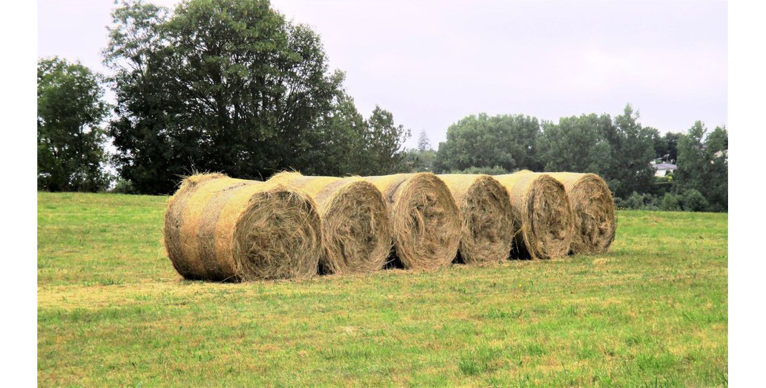 Photo Boucle Sud - N°34