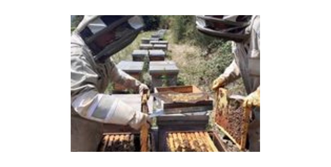 Foto Escapades Gourmandes à vélo - Cycles des fans