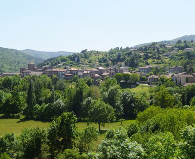 Les Vignes
