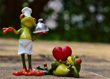 Cuisses de grenouilles - Chez Mag