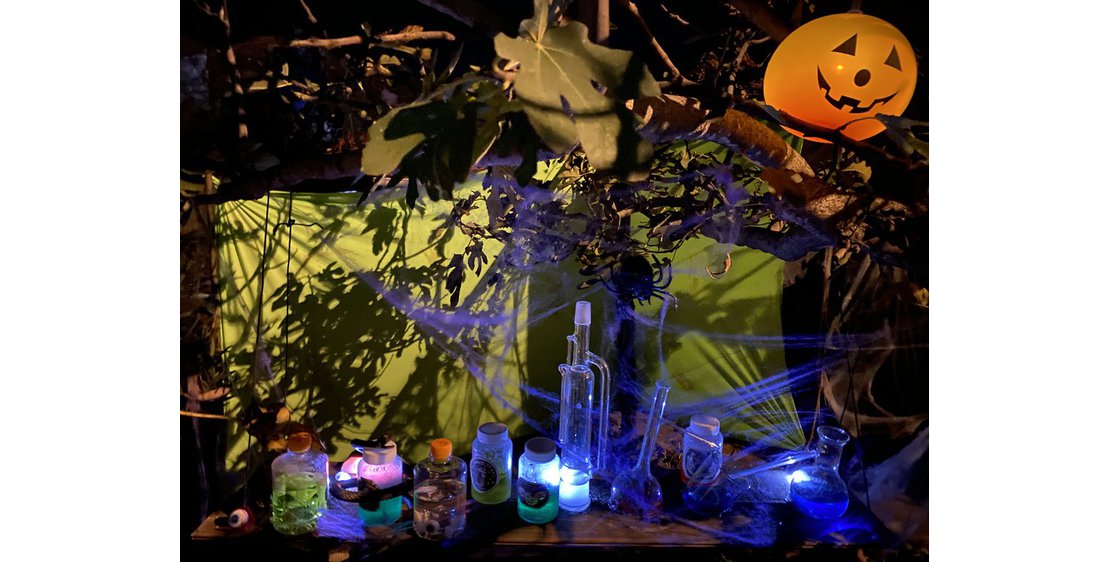 Photo Halloween - Jardin hanté
