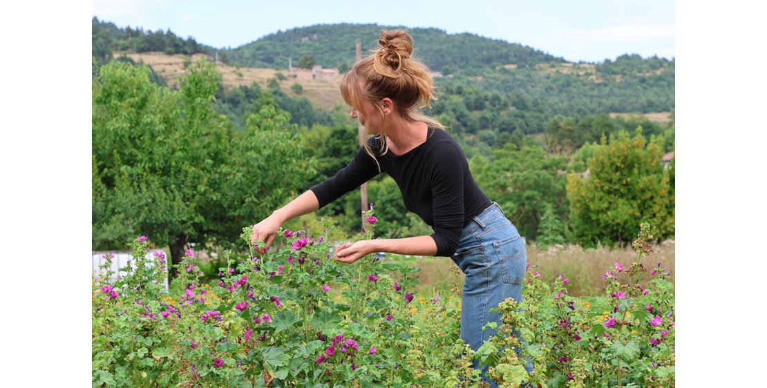 Photo Les sens sauvages - Plantes aromatiques et médicinales
