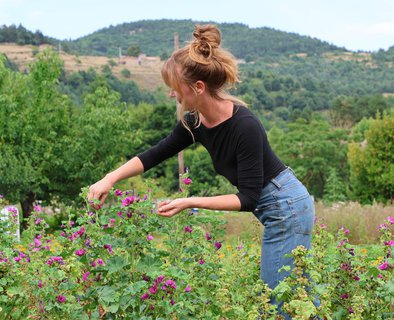 Les sens sauvages - Plantes aromatiques et médicinales