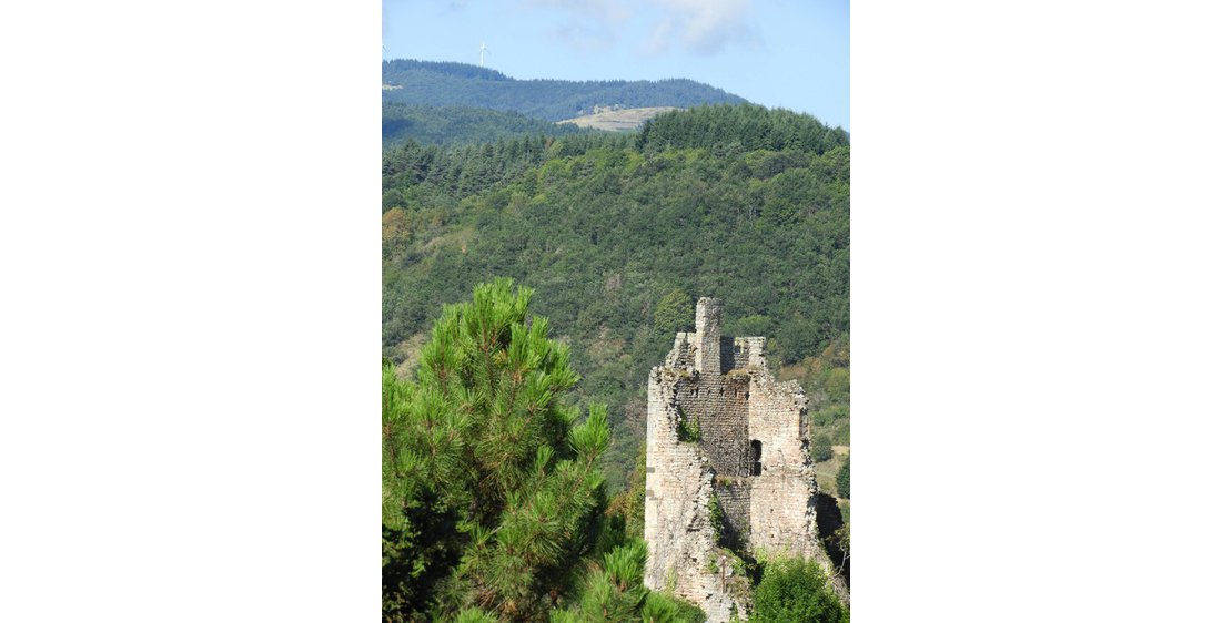 Photo Le Château de Peychelard