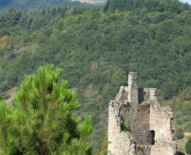 Le Château de Peychelard